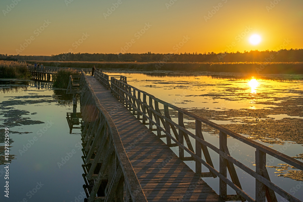 Obraz premium Sonnenuntergang am Federsee, Bad Buchau, Baden-Württemberg, Deutschland 