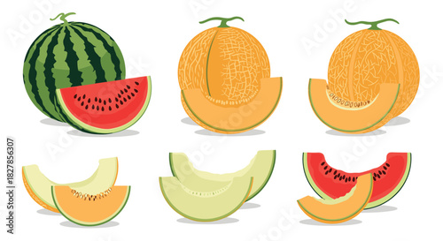 Diverse collection of fresh watermelons and cantaloupes presented whole and in various sliced forms showing their juicy flesh.