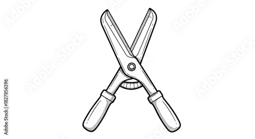 Isolated sharp steel cutting tool scissors with plastic handle on white background