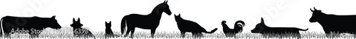 Black silhouette panorama of common farm and domestic animals in grass: cow, horse, dogs, cat, and rooster, symbolizing agriculture, nature, and rural life