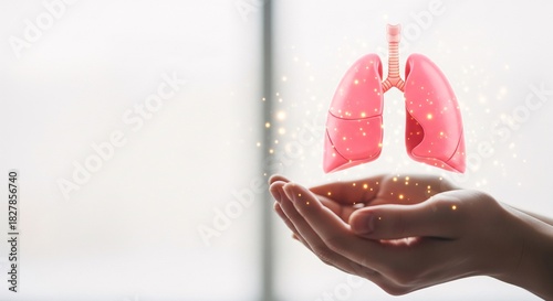Protecting human lungs with caring hands medical healthcare support and vital organ health concept