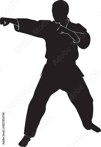 Martial arts silhouette of a determined fighter performing a powerful punching technique