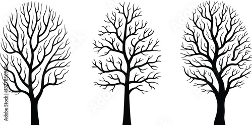 Set of three distinct vector silhouettes of bare trees without leaves, representing winter, autumn, nature, environment, growth, and seasonal change concepts