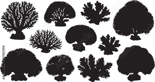 Assortment of ten black coral silhouettes with diverse shapes and branching structures ocean marine on transparent background