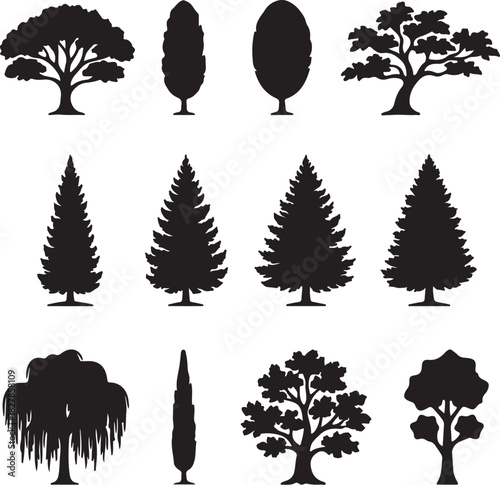 Collection of Twelve Silhouette Trees Including Deciduous and Coniferous Varieties evergreen on transparent background