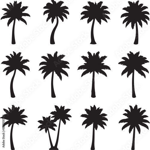 Twelve Silhouette Palm Trees with Different Trunk Curves and Frond Styles tropical beach on transparent background