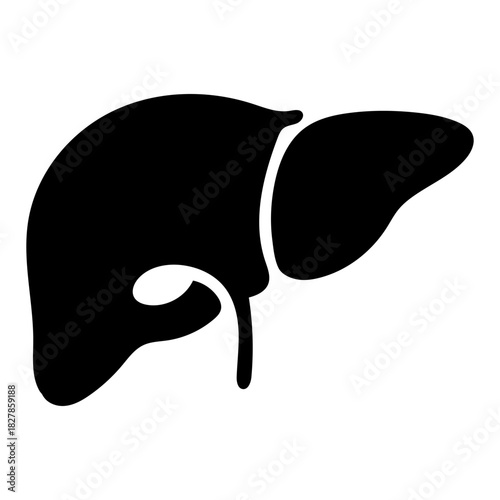 Human Liver icon Silhouette in Vector Style on white background