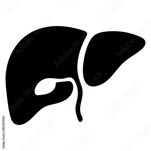 Liver Icon Silhouette Vector on White Background