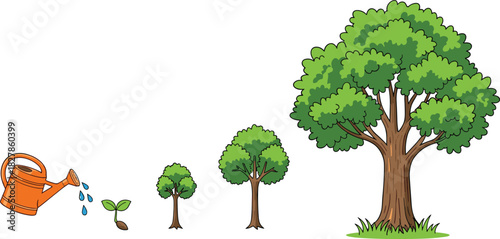 Tree Growth Stages Vector Illustration: From Seedling to Mature Oak Tree, Watering Can, Nature Cycle, Development, and Investment Concept