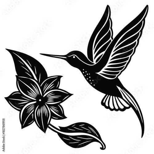 vector illustration of a bird