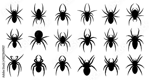 Spider collection shows various poses with clear curves. The insects appear natural and expressive in shape. The silhouettes have very high quality