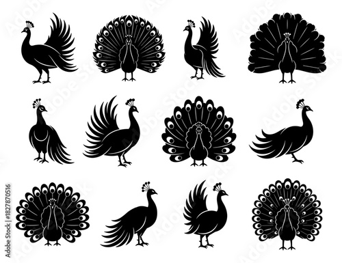 Peacock silhouettes show elegant bodies and wide decorative tails. Each pose highlights graceful movement and iconic profile. The silhouettes have very high quality