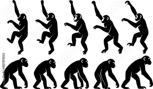 Monkey silhouettes show dynamic climbing gestures with expressive elongated poses. Each figure emphasizes active motion and natural anatomy. The silhouettes have very high quality