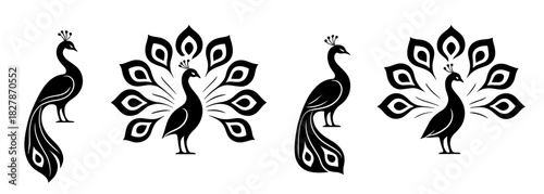 Peacock silhouettes show standing poses with wide decorative fan tails. Each figure emphasizes ornate feather shapes and elegant bird posture. The silhouettes have very high quality