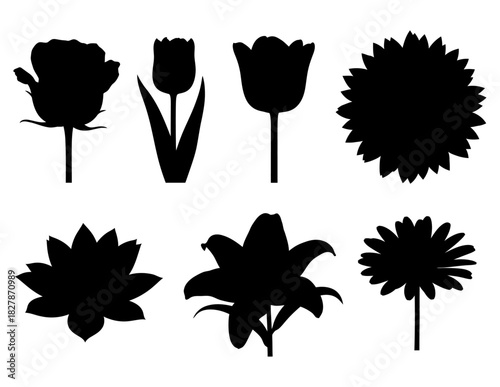 Silhouettes of Floral Wonders A Collection of Botanical Outlines for Creative Projects and Designs