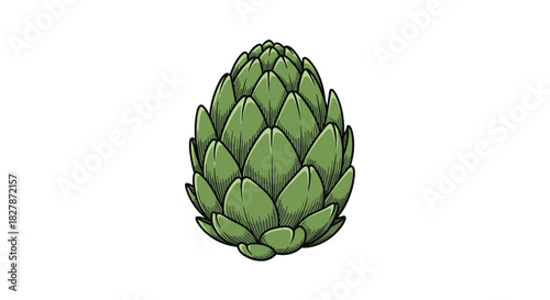 Detailed vintage-style botanical illustration of a fresh green artichoke in a hand-drawn engraving or woodcut art style.