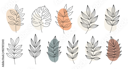 Collection of minimalist botanical line art drawings of leaves and branches with abstract pastel shapes for modern wall decor.