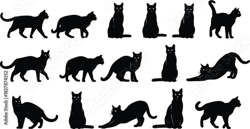 Diverse Silhouettes of Black Cats in Various Poses and Actions feline animal