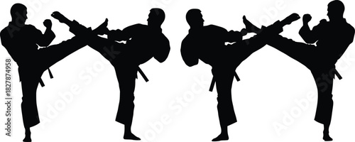 Silhouettes of martial artists performing high kicks in karate on white background Keywords: karate, martial arts, fighter, warrior, combat