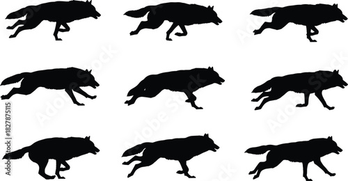 Illustration of a sequence of nine silhouette images showing a wolf running, each capturing a different phase of its stride