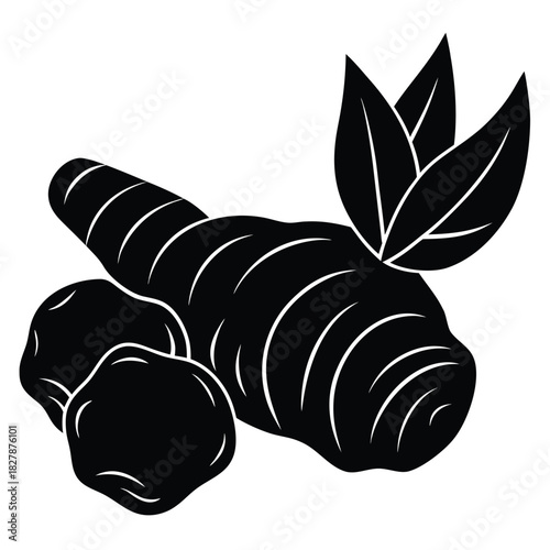 a fresh ginger root on a clean light background  w.eps