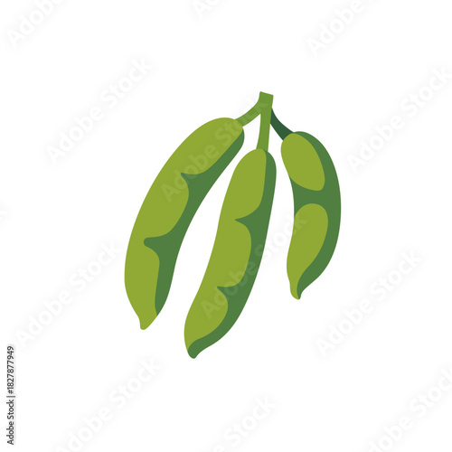 Fresh green beans pods vegetable bunch, isolated flat style vector illustration