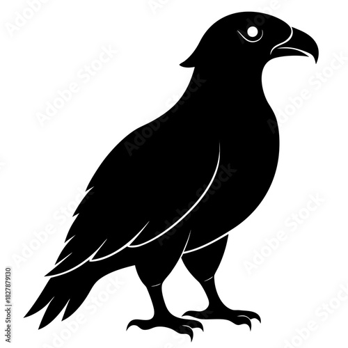 Buzzard vector clean black silhouette design white background