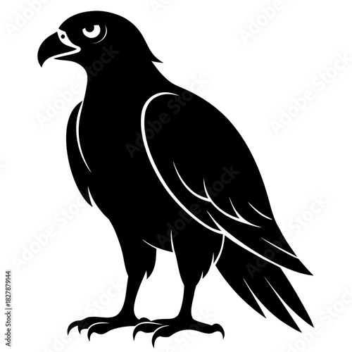 Buzzard vector clean black silhouette design white background