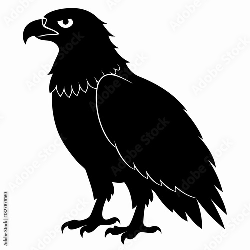 Buzzard vector clean black silhouette design white background