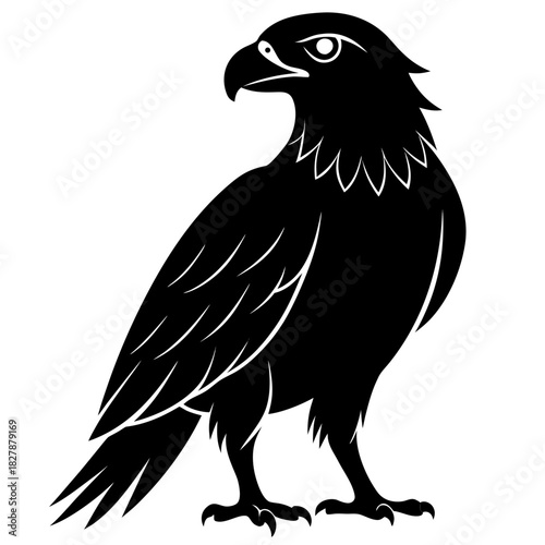 Buzzard vector clean black silhouette design white background