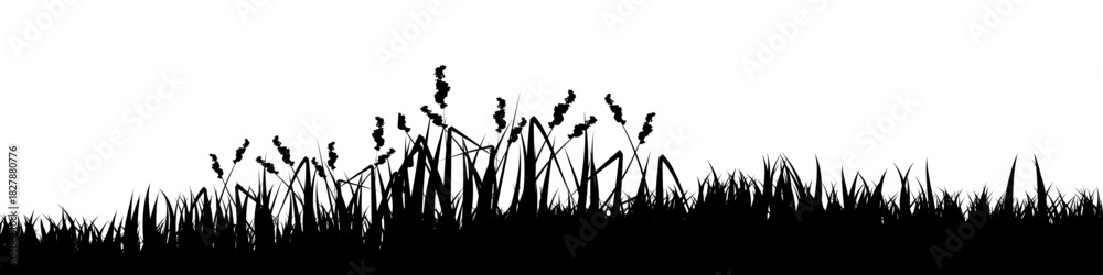 Naklejka premium Meadow silhouette with grass, plants on plain. Panoramic summer lawn landscape with herbs, various weeds. Herbal border, frame element. Black horizontal banners. Vector illustration