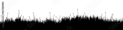 Meadow silhouette with grass, plants on plain. Panoramic summer lawn landscape with herbs, various weeds. Herbal border, frame element. Black horizontal banners. Vector illustration