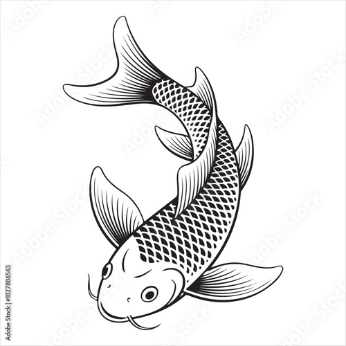 Hand drawn koi fish illustration in black and white for tattoo or design