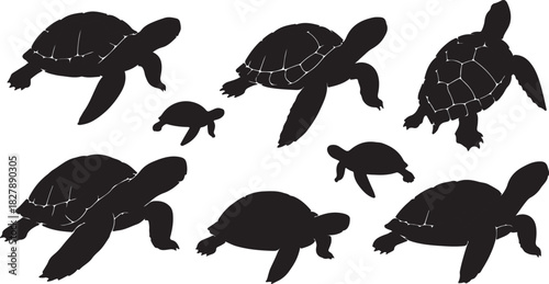 Collection of black turtle silhouettes on a white background with varied poses and sizes Keywords: turtle, silhouette, black, white background, animal, reptile, sea turtle, on transparent background