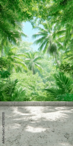 Bright tropical jungle foliage canopy above a textured gray concrete platform with dappled sunlight