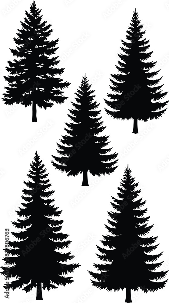 Fototapeta premium Collection of evergreen tree silhouettes isolated on white background