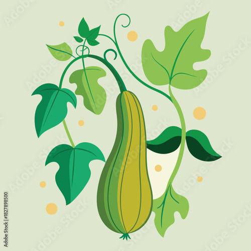 vector illustration of a cucumber