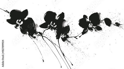 Oriental ink painting of orchid flowers in traditional brush style on white background