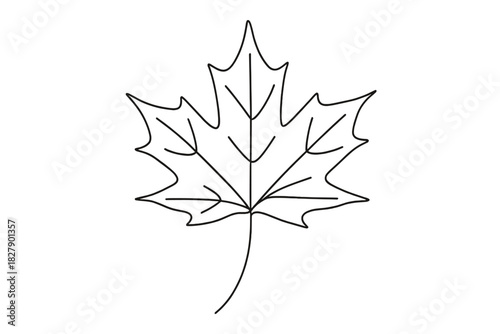 Black outline of maple leaf on white background