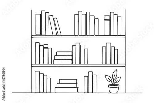 Minimalist bookshelf with books and potted plant