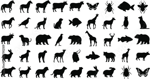 Animal silhouette icons, wildlife vector set, domestic and wild species graphics, black animal shapes, nature symbols, biology illustration elements
