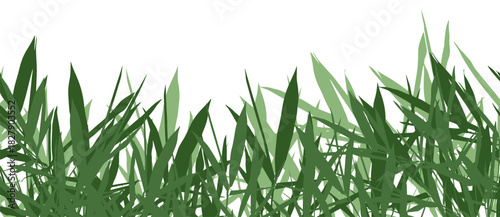 Bamboo summer banner. Clip art, basis element on white background