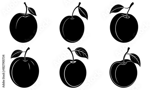 Fresh plums in various views, perfect for healthy eating promotion, farm-fresh produce ad, or summer fruit graphic design elements originally created as vector art