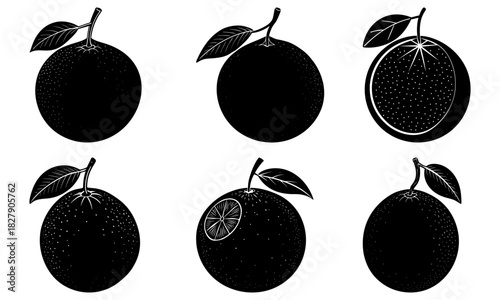 Stunning citrus fruit collection; elegant oranges with leaves, perfect for healthy lifestyle brands and vibrant summer promotions, originally vector