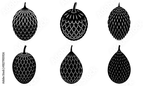 Elegant black and white jackfruit silhouettes, scalable vector design for menus, packaging, or botanical illustrations showcasing exotic fruit