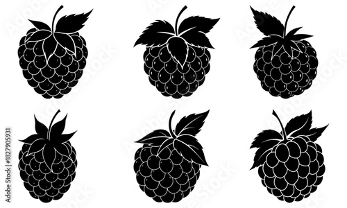 Delicious raspberries illustration for summer designs, vibrant flavors, healthy eating, and creative projects, vector art for packaging and menus