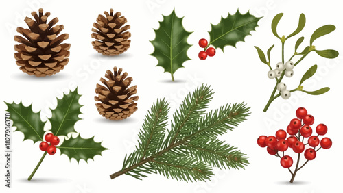 A realistic collection of traditional winter and Christmas plants including pine cones, holly, mistletoe, and fir branches.