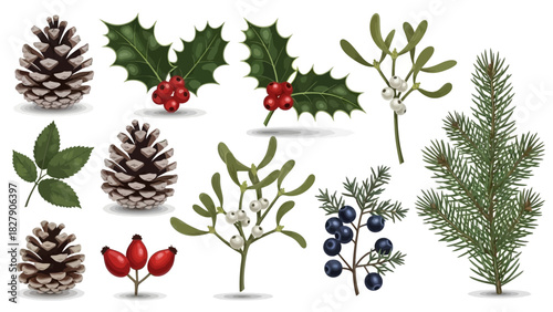 A collection of winter and Christmas botanical elements including pine cones, holly, mistletoe, juniper, rose hips, and fir branches.