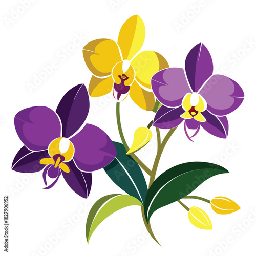Beautiful yellow and purple orchid flowers on a white background.