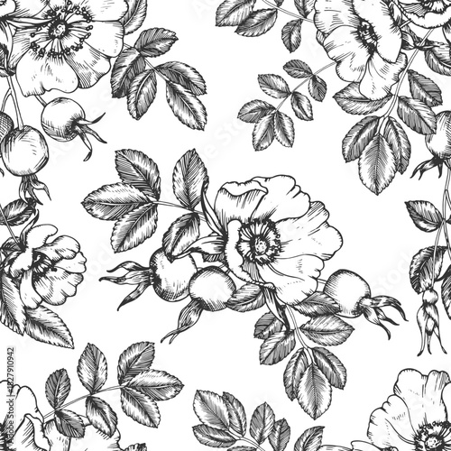 Rosehip hand-drawn ink vector seamless pattern. Ornament with flowers, berries, leaves, and buds. Element for packaging and label design for tea and cosmetics.